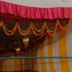 Vraj-Yatra-2014- (2909)